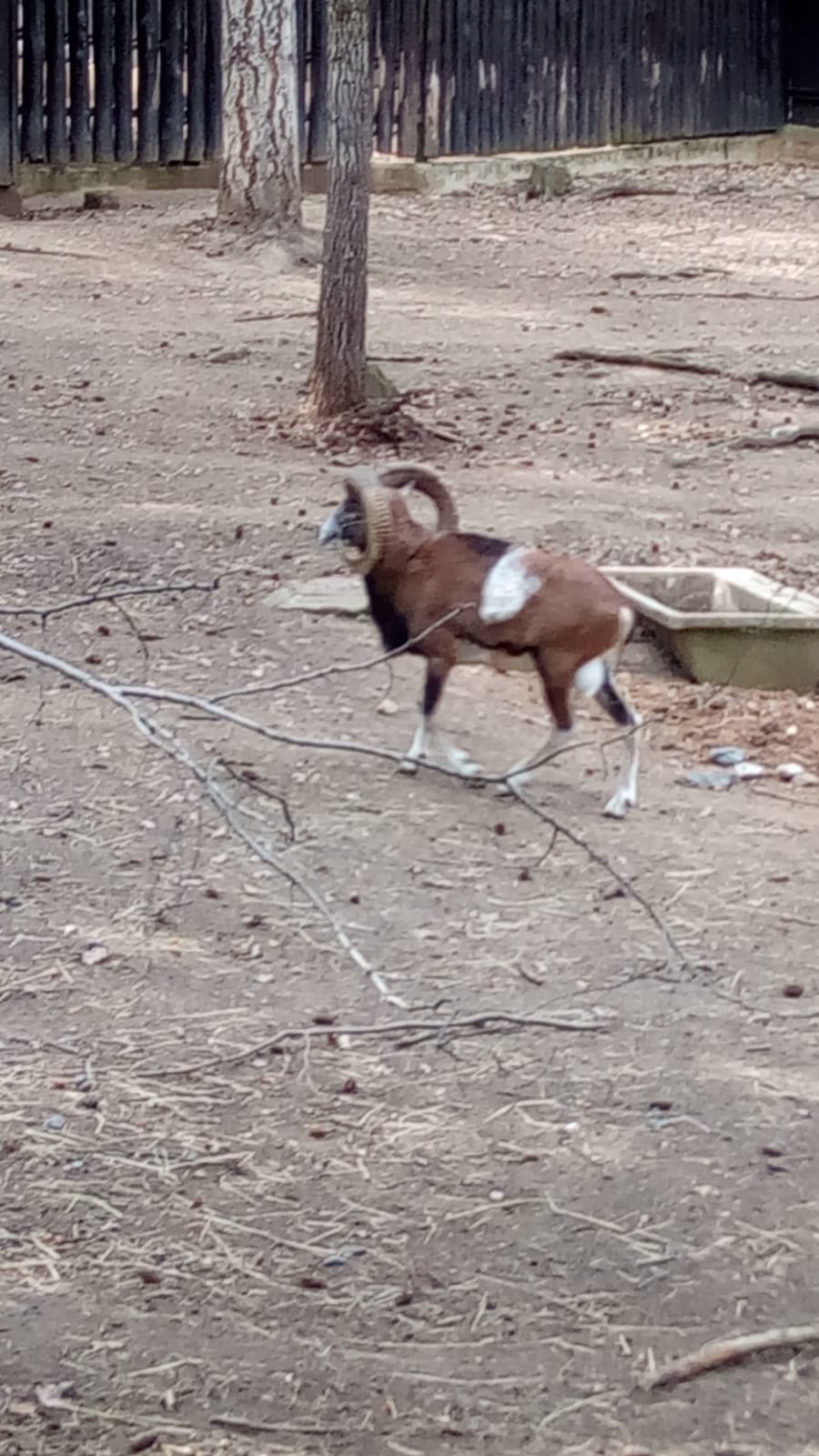 Zoo koutek Chuchle září 2019